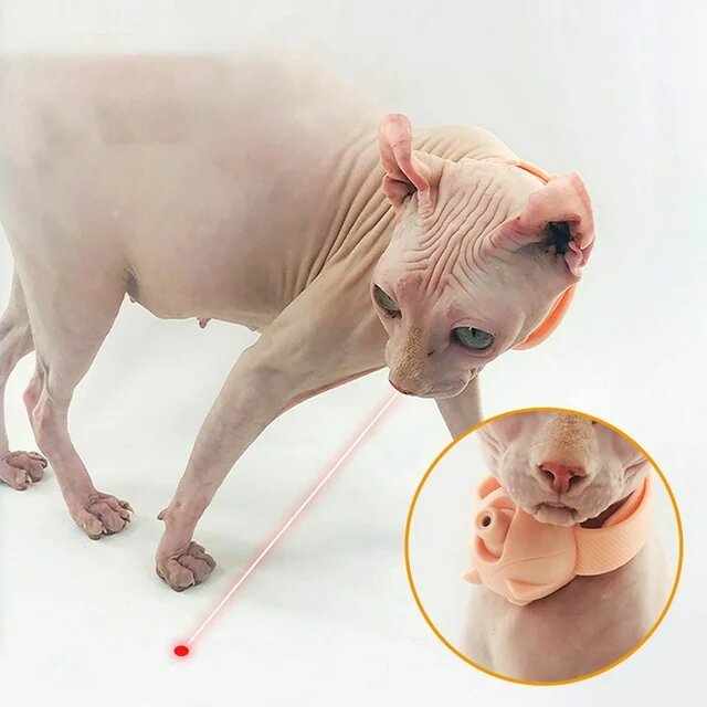 Cat collar toy build in led laser